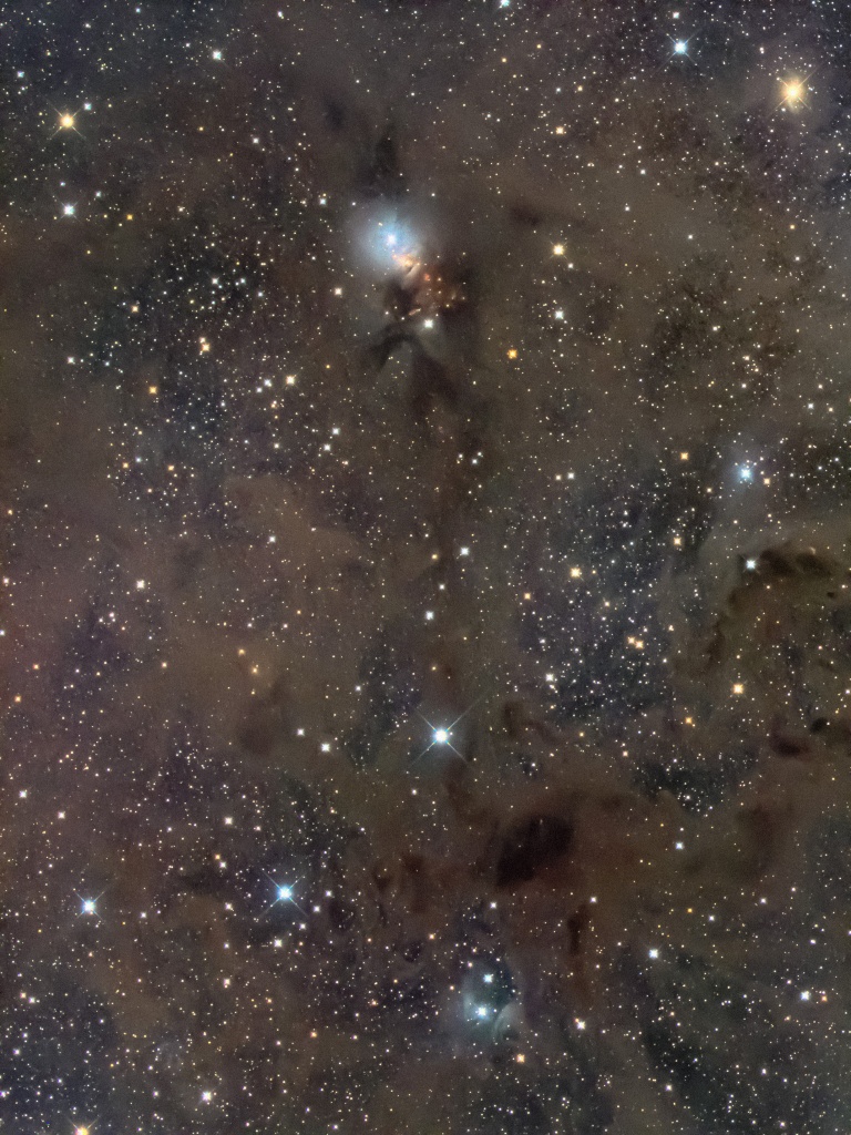 NGC1333と周辺の星雲 