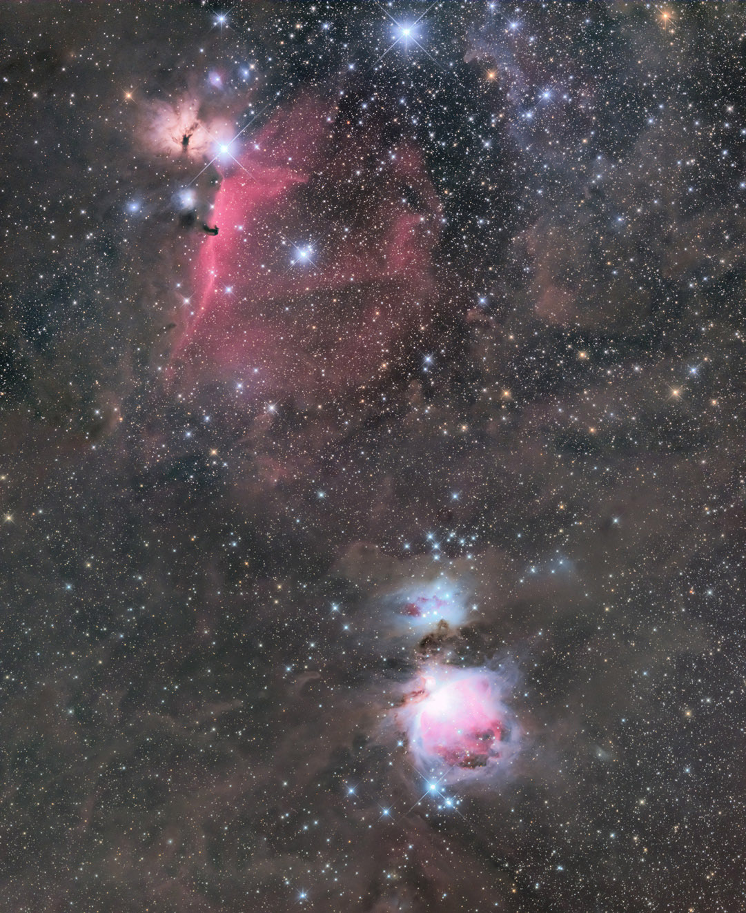 馬頭星雲からオリオン大星雲