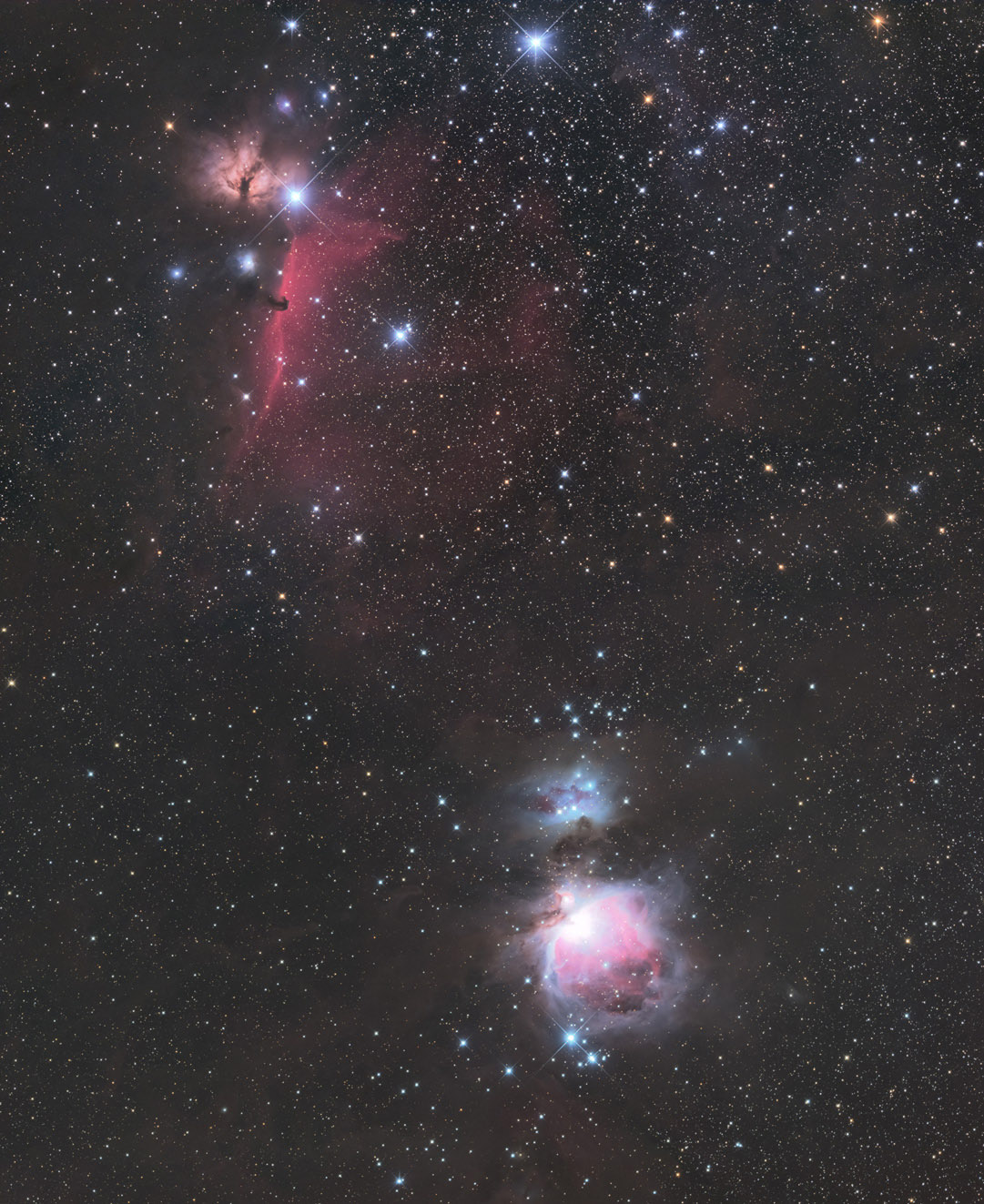 Re: 馬頭星雲からオリオン大星雲
