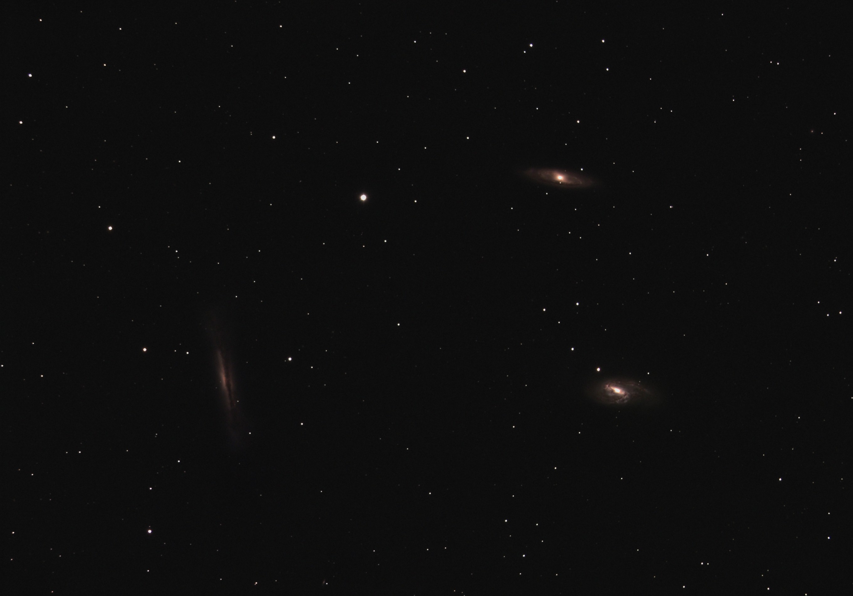 Leo 3 galaxies