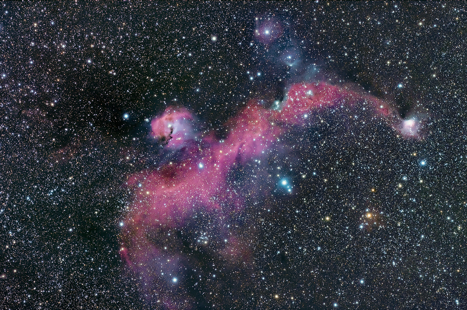 カモメ星雲　　IC2177