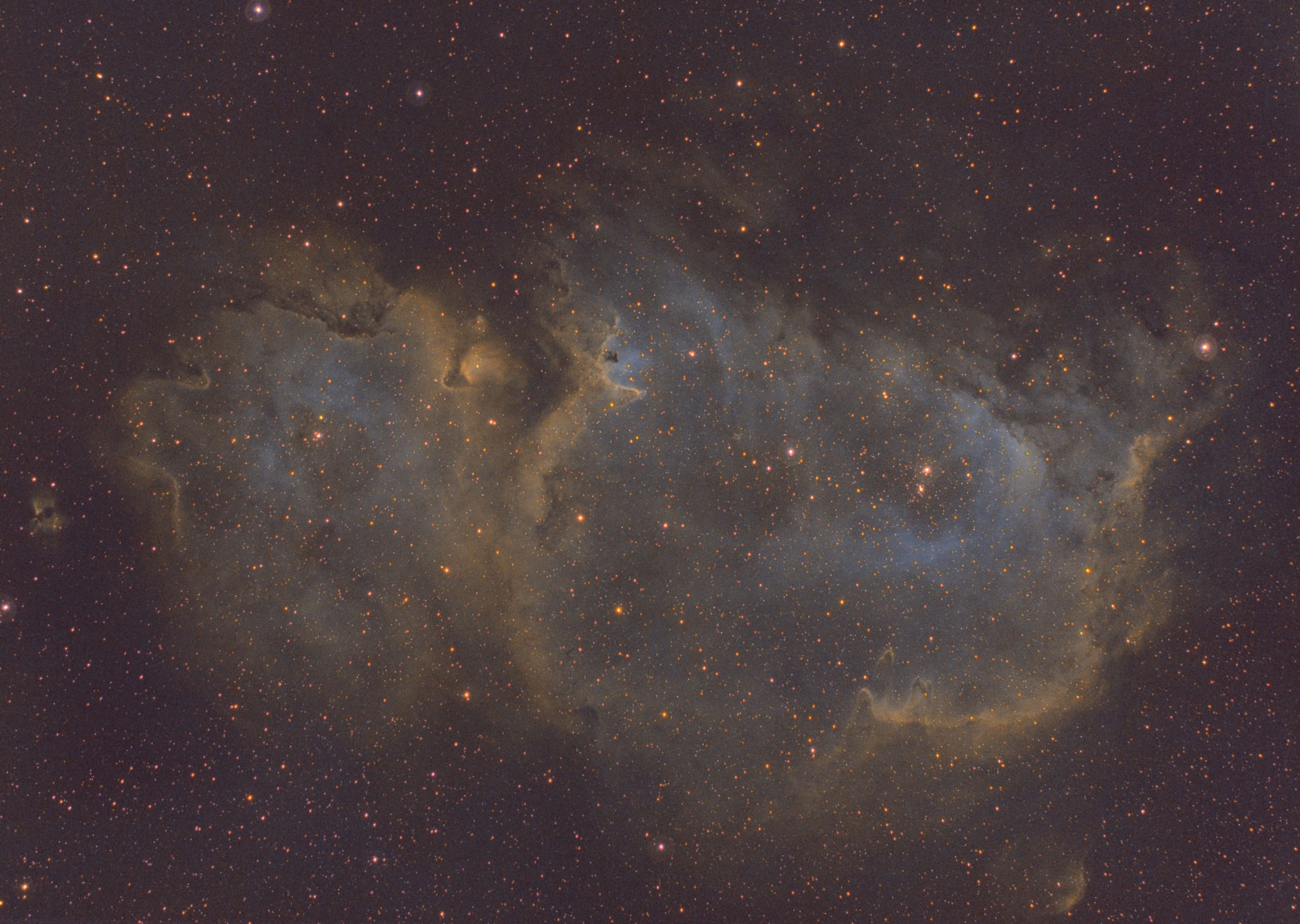 IC1848 胎児星雲
