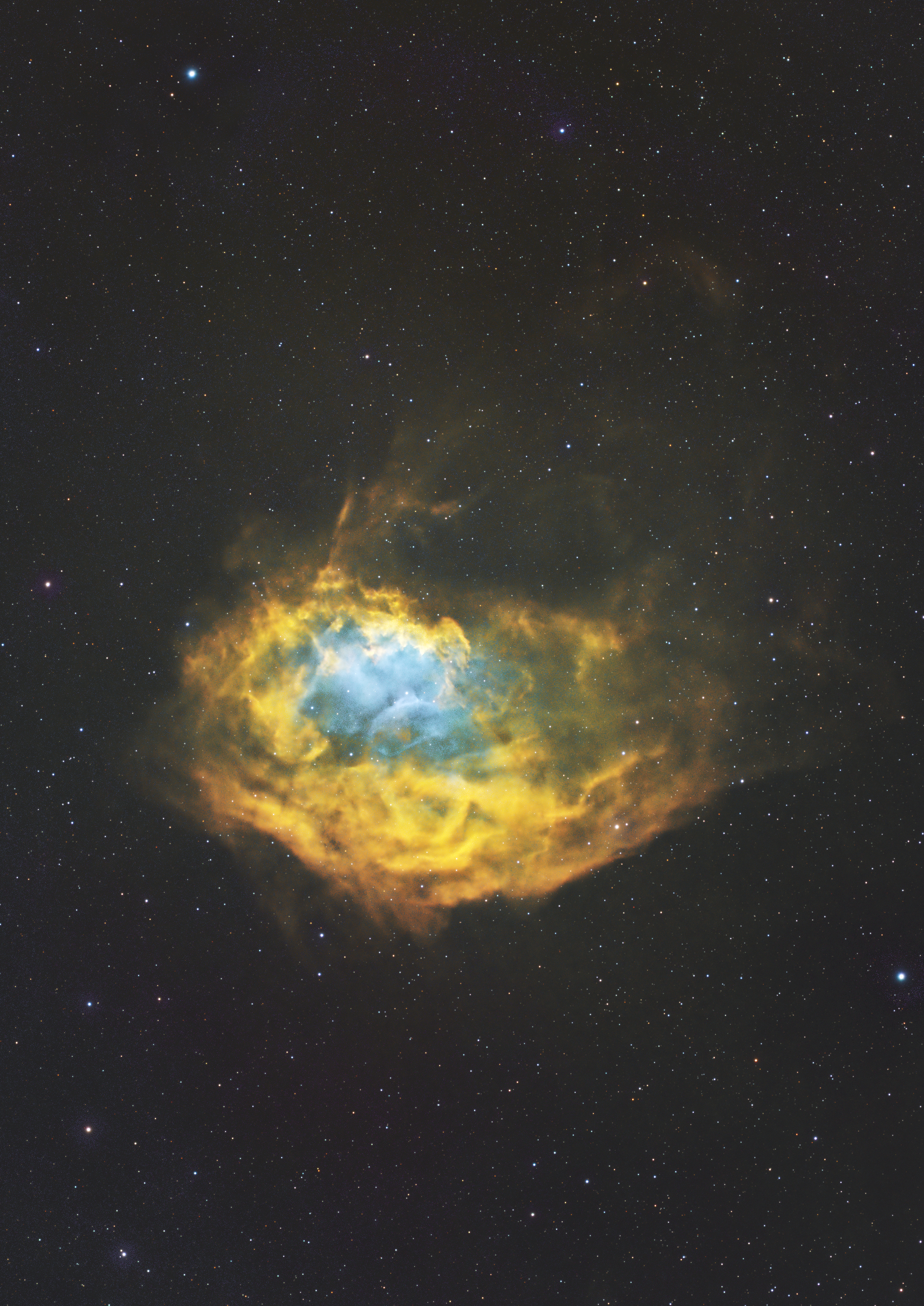  SH2-261 Lower's Nebula