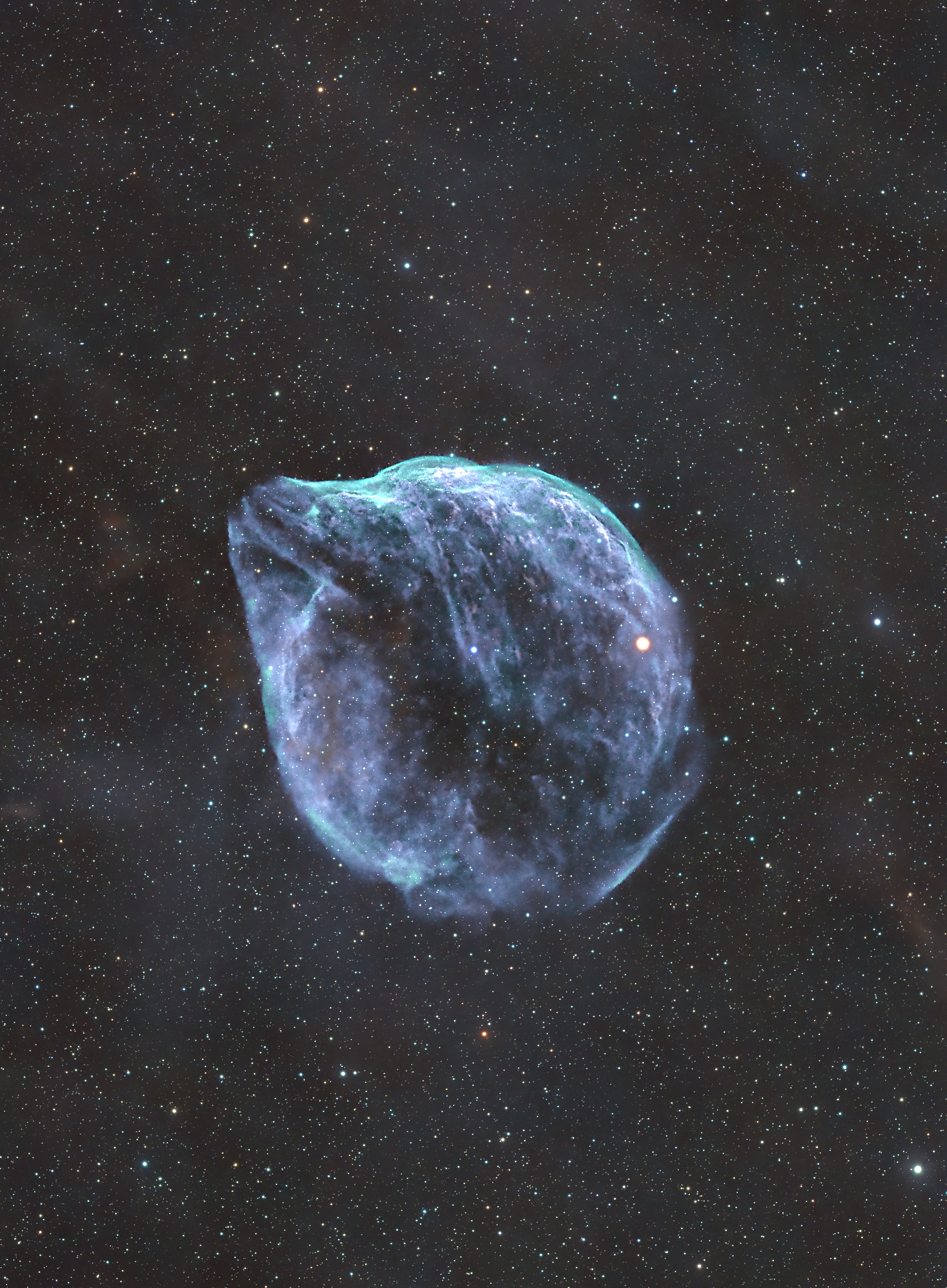 SH2-308 Dolphin Nebula