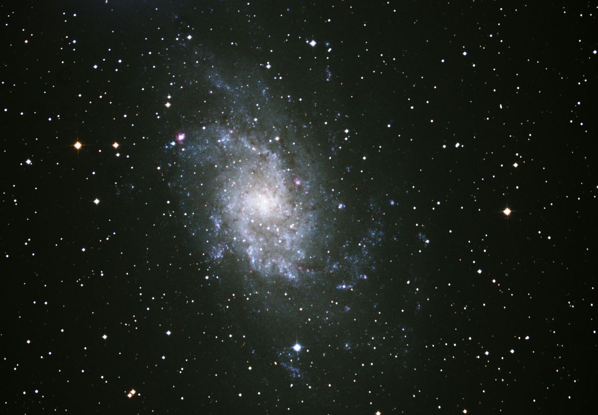 晩秋のM33