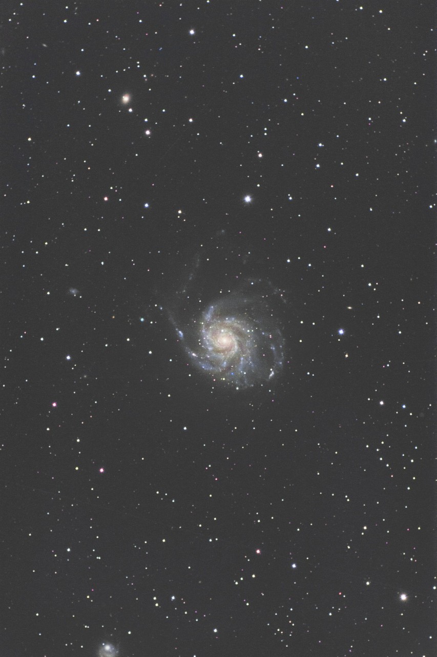 M101